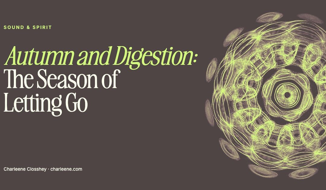 Autumn and Digestion: The Season of Letting Go
