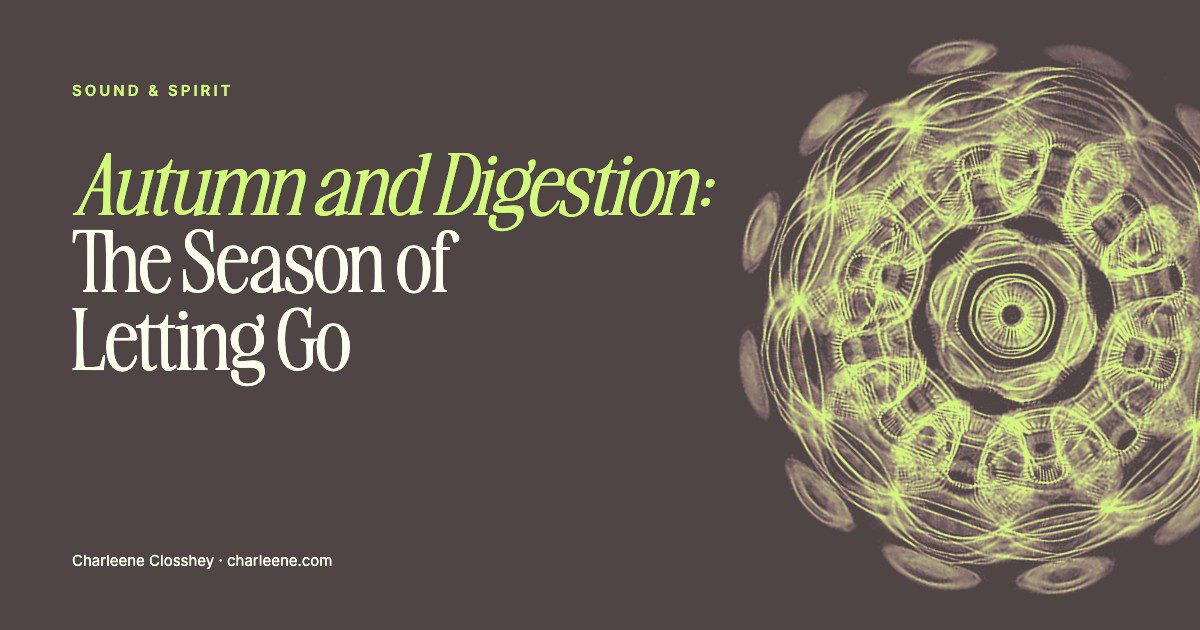 Title card reading “Autumn and Digestion: The Season of Letting Go” beside a cymatic pattern made by sound